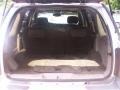 Silverstone Metallic - TrailBlazer LS 4x4 Photo No. 9