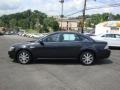 Alloy Grey Metallic - Taurus SEL Photo No. 6