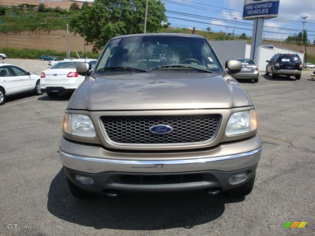 2002 F150 FX4 SuperCab 4x4 - Arizona Beige Metallic / Medium Parchment photo #11