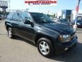 2009 Black Granite Metallic Chevrolet TrailBlazer LT  photo #3