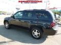 2009 Black Granite Metallic Chevrolet TrailBlazer LT  photo #7