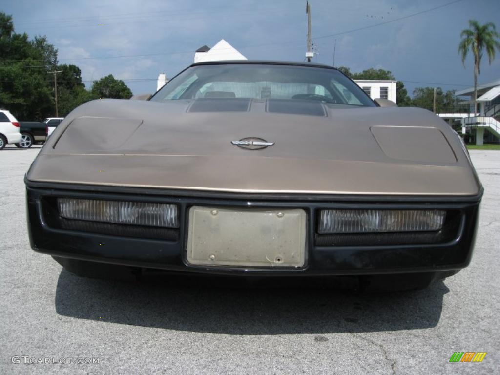 1985 Corvette Coupe - Light Bronze Metallic / Saddle photo #1