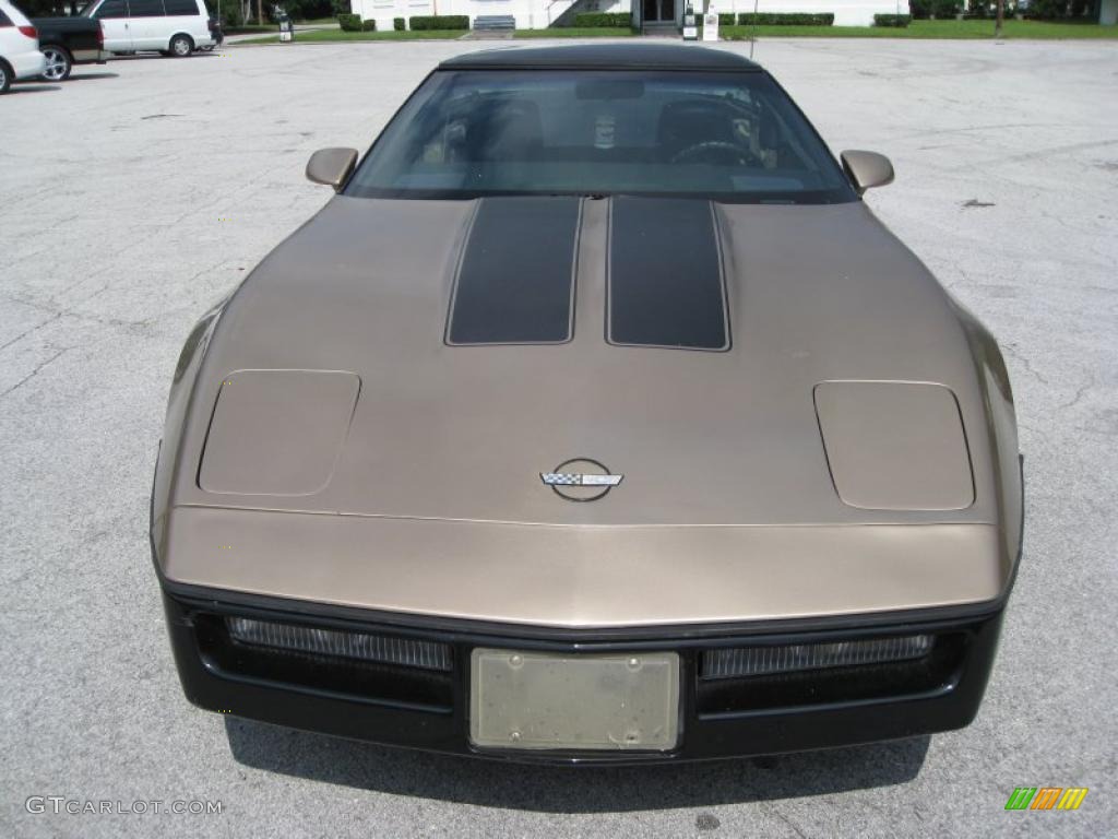 1985 Corvette Coupe - Light Bronze Metallic / Saddle photo #2