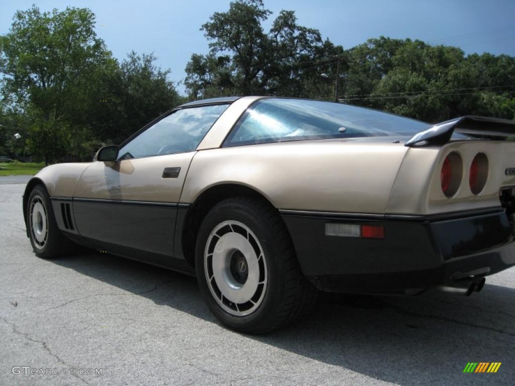 1985 Corvette Coupe - Light Bronze Metallic / Saddle photo #9