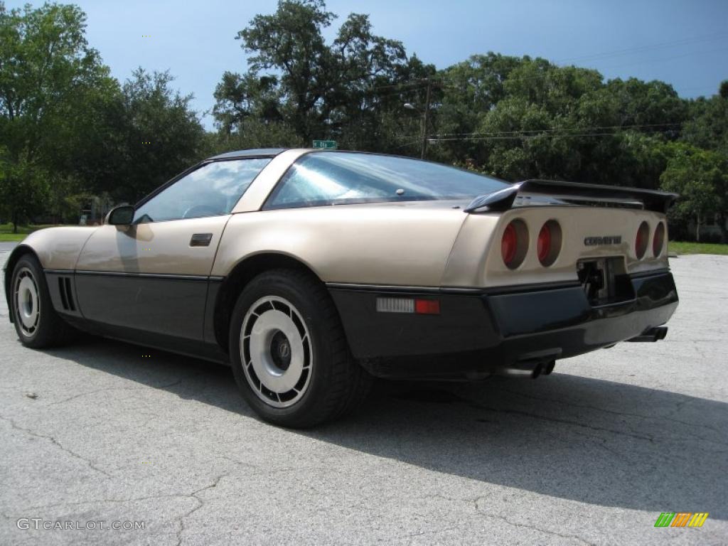 1985 Corvette Coupe - Light Bronze Metallic / Saddle photo #11
