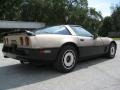 Light Bronze Metallic - Corvette Coupe Photo No. 12