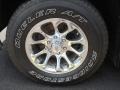 Silver Birch Metallic - Silverado 1500 LS Crew Cab 4x4 Photo No. 14