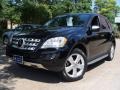 Black - ML 350 4Matic Photo No. 1