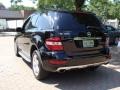 Black - ML 350 4Matic Photo No. 6