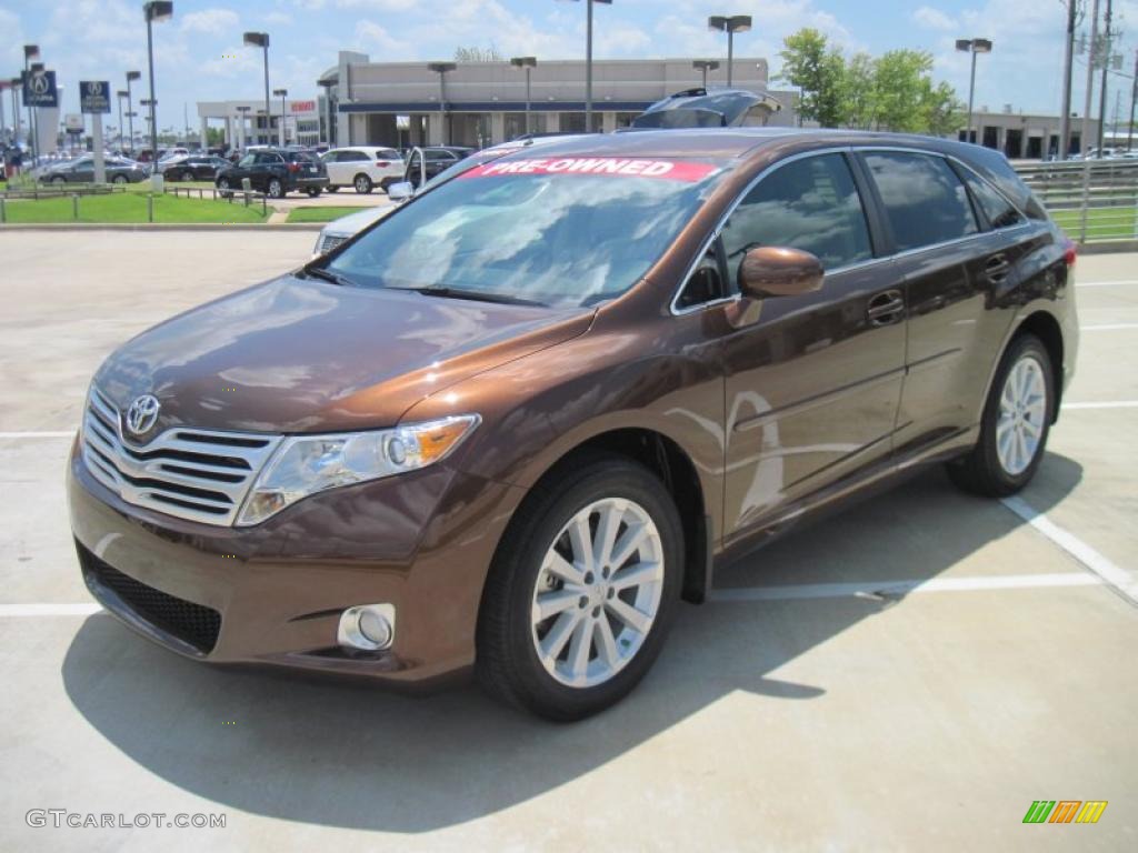 2009 Venza I4 - Sunset Bronze Mica / Ivory photo #1