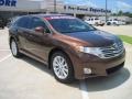 2009 Sunset Bronze Mica Toyota Venza I4  photo #2