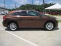 2009 Sunset Bronze Mica Toyota Venza I4  photo #4