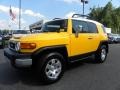 2007 Sun Fusion Toyota FJ Cruiser 4WD  photo #6