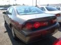 Bronzemist Metallic - Impala  Photo No. 3