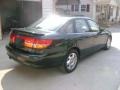 Green - L Series L300 Sedan Photo No. 5