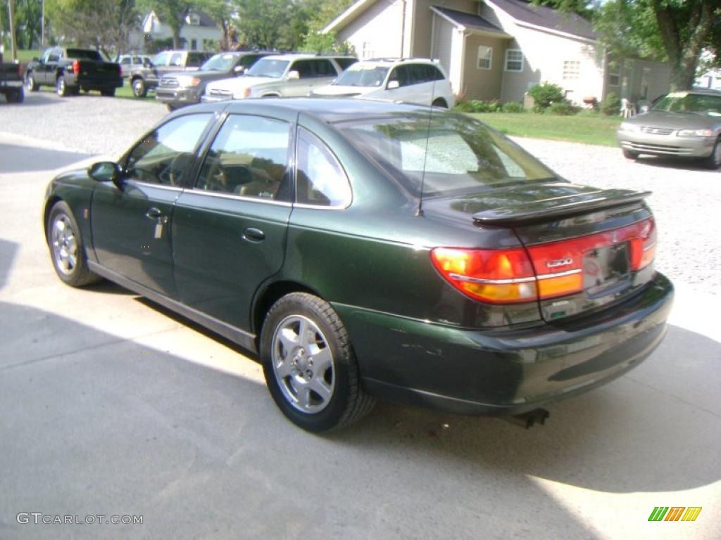 2002 L Series L300 Sedan - Green / Medium Tan photo #6
