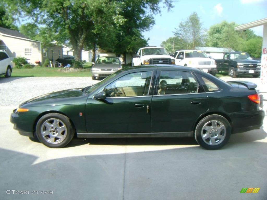 2002 L Series L300 Sedan - Green / Medium Tan photo #8