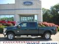 Forest Green Metallic - F250 Super Duty XLT Crew Cab 4x4 Photo No. 1