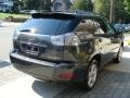 Flint Gray Mica - RX 350 AWD Photo No. 4