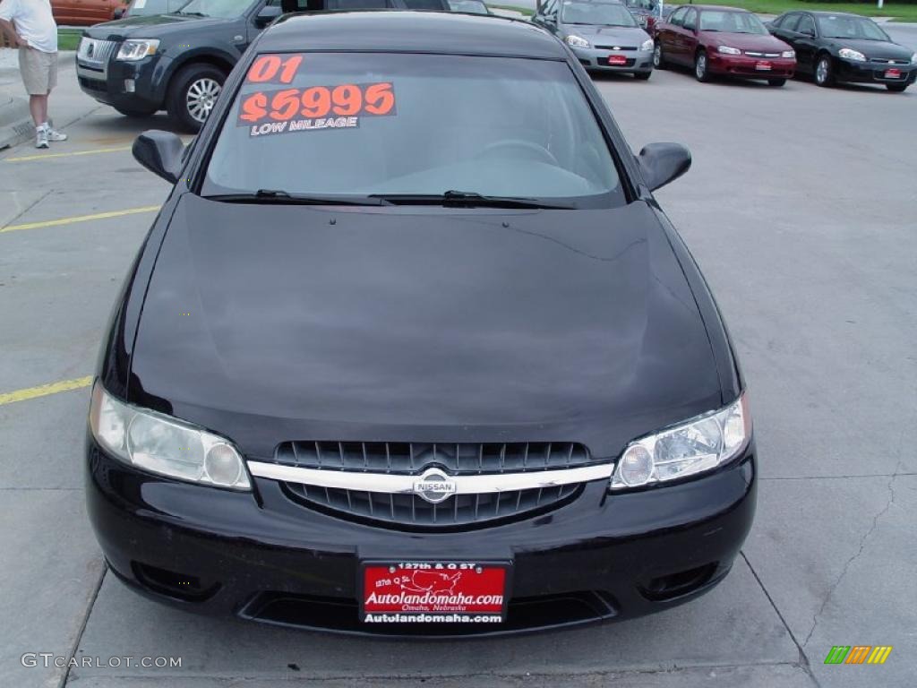 2001 Altima GXE - Super Black / Dusk photo #15