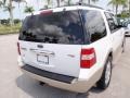 White Sand Tri Coat Metallic - Expedition Eddie Bauer Photo No. 5