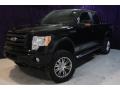 2009 Black Ford F150 FX4 SuperCrew 4x4  photo #14