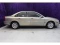 Ash Gold Metallic - S80 2.5T AWD Photo No. 3