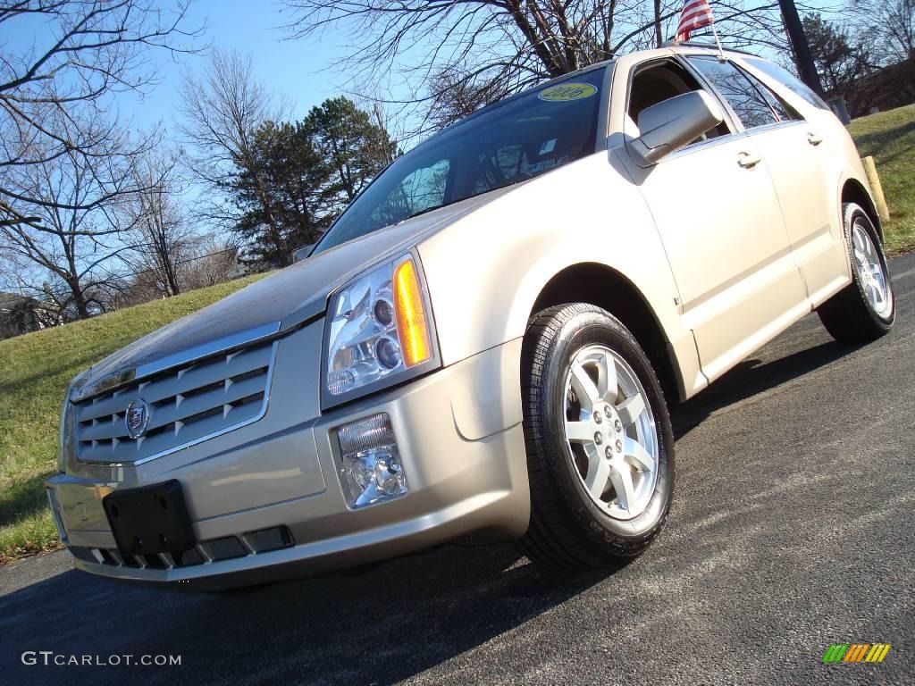 2006 SRX V6 - Sand Storm / Cashmere photo #1