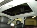 Light Platinum - SRX V6 Photo No. 16
