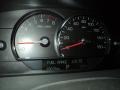 Light Platinum - SRX V6 Photo No. 20