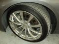 Platinum Graphite - G 37 Coupe Photo No. 20