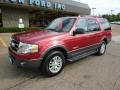 Redfire Metallic - Expedition XLT 4x4 Photo No. 8