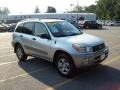 2002 Titanium Metallic Toyota RAV4 4WD  photo #1