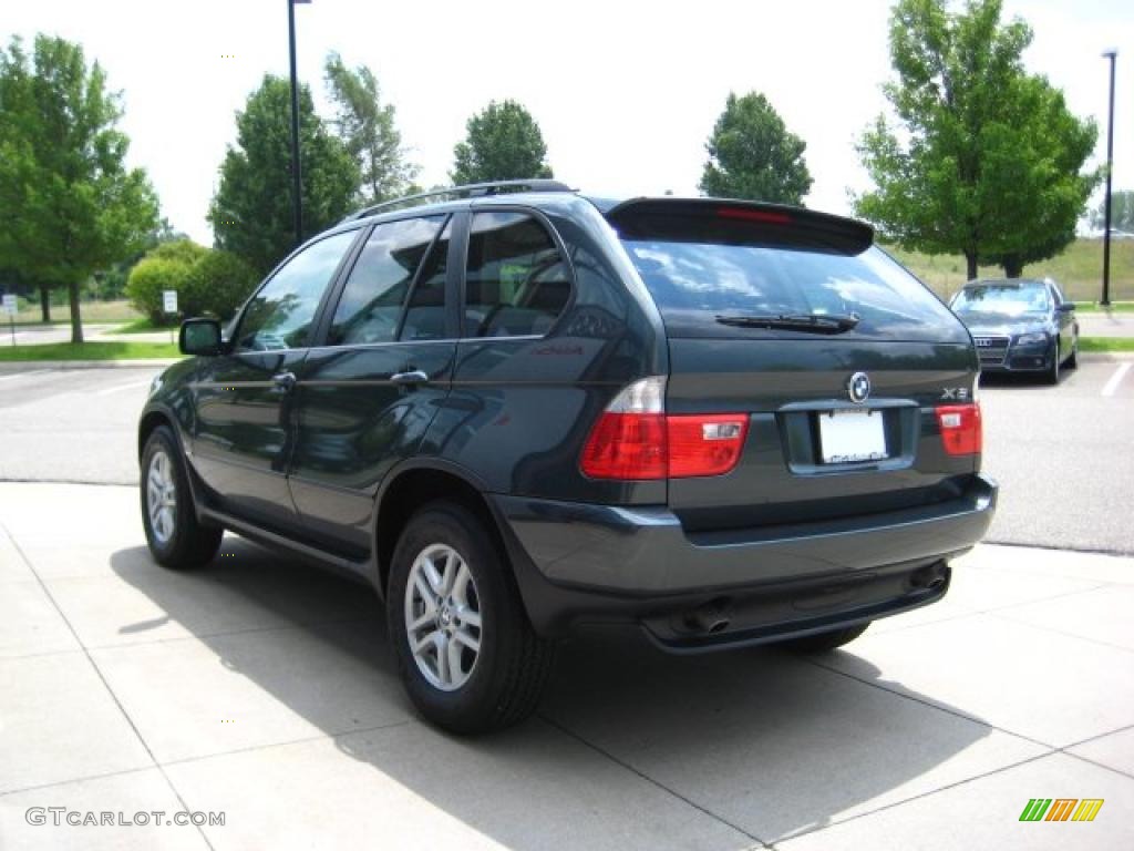 2006 X5 3.0i - Highland Green Metallic / Beige photo #4