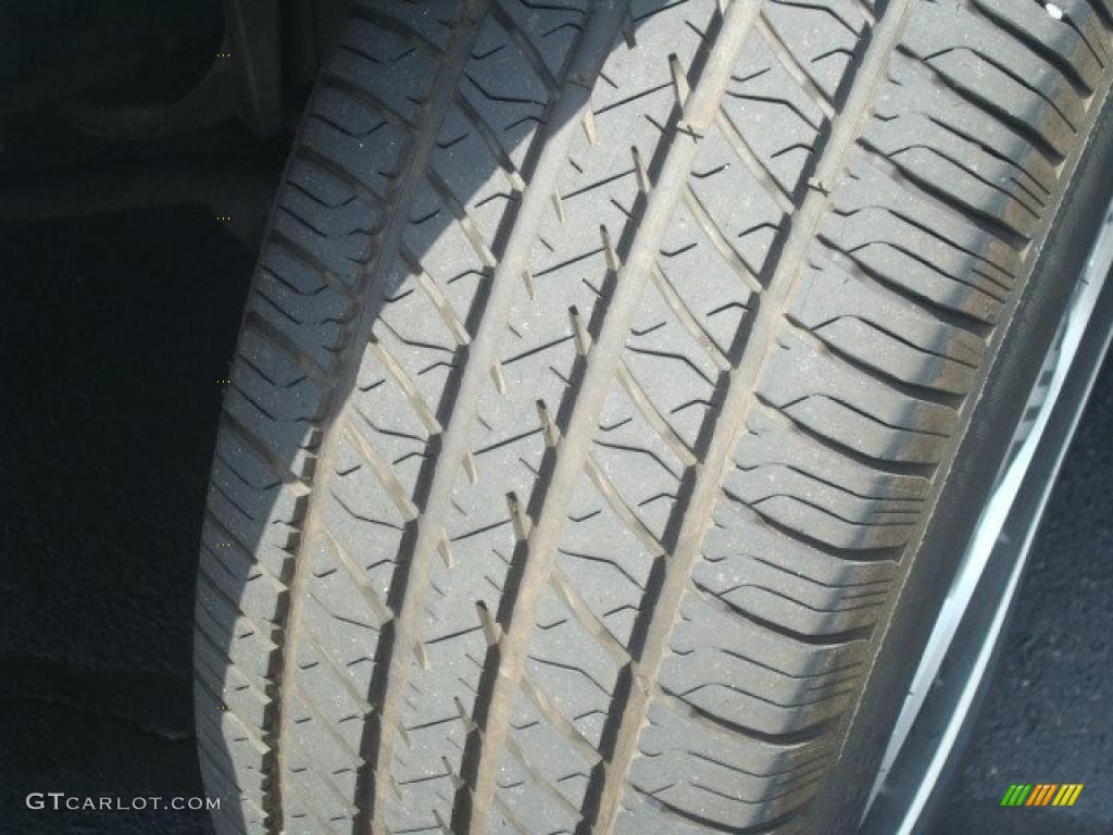 2004 Grand Marquis LS - Silver Birch Metallic / Light Flint photo #21