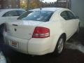 Stone White - Avenger SXT Photo No. 3