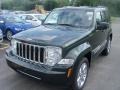 2010 Natural Green Pearl Jeep Liberty Limited 4x4  photo #1