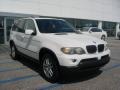 Alpine White - X5 3.0i Photo No. 1