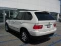 Alpine White - X5 3.0i Photo No. 5