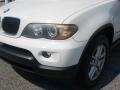 Alpine White - X5 3.0i Photo No. 8