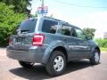 2010 Steel Blue Metallic Ford Escape XLT V6  photo #3