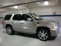 Quicksilver - Escalade AWD Photo No. 6