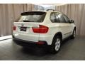Alpine White - X5 3.0si Photo No. 2