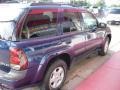 2003 Indigo Blue Metallic Chevrolet TrailBlazer LS 4x4  photo #3