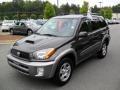 Graphite Gray Pearl - RAV4  Photo No. 1