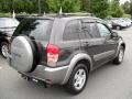 Graphite Gray Pearl - RAV4  Photo No. 4