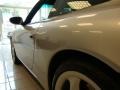 Arctic Silver Metallic - 911 Carrera 4 Coupe Photo No. 10