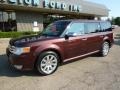 Cinnamon Metallic - Flex Limited AWD Photo No. 8