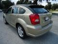 Light Sandstone Metallic - Caliber SXT Photo No. 3