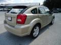 Light Sandstone Metallic - Caliber SXT Photo No. 9